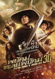 ดูหนังออนไลน์ฟรี Flying Swords Of Dragon Gate (2011) พยัคฆ์ตะลุยพยัคฆ์