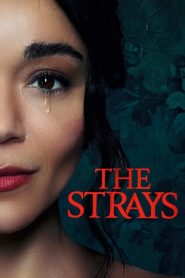 ดูหนังออนไลน์ฟรี The Strays (2023) คนหลงทาง